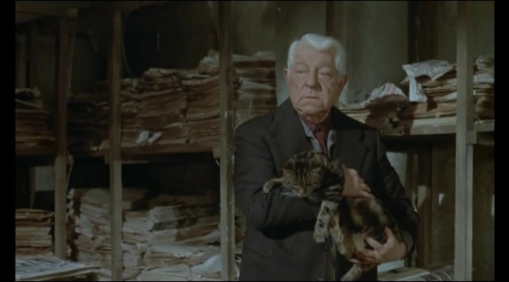 jean gabin die katze quizz les animaux en folie quiz animaux litterature jean gabin die katze quizz les animaux en folie quiz animaux litterature
