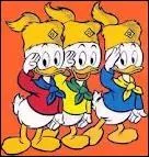 Voici les neveux de Donald, comment les appelle-t-on ?