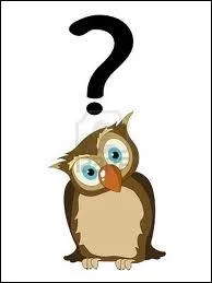 Parmi ces trois propositions quel est l'animal nomm  petit gris  ?