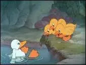 Dans le conte d'Andersen qui tait  le vilain petit canard  ?