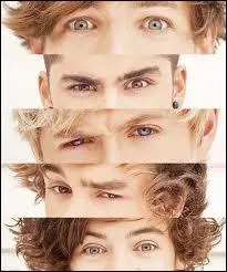 Quel est le titre du premier livre sur One Direction ?