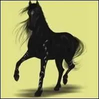 Cette race est obtenue avec...