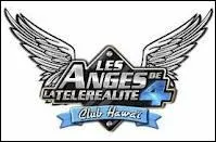 Sur quelle chane de tlvision est diffuse l'mission  Les anges de la tlralit  ?