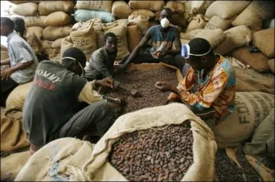 Quel est le premier producteur mondial de cacao ?