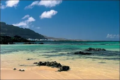 Pourquoi les les Canaries portent-elles ce nom ?