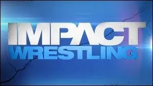 Une de ses anciennes divas de la WWE est partie  la TNA. Qui est-ce ?