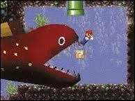 Comment s'appelle ce gros poisson ?