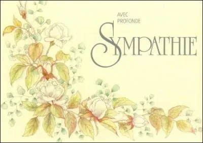 Racines grecques et latines : Que signifie la racine  -pathie , que l'on retrouve par exemple dans le mot  sympathie .