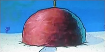 De quoi est fait l'intérieur de la maison de Patrick ?