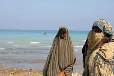 Quel pays n'est pas dans le golfe Persique ?