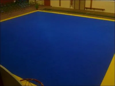 Comment s'appelle le tapis ?