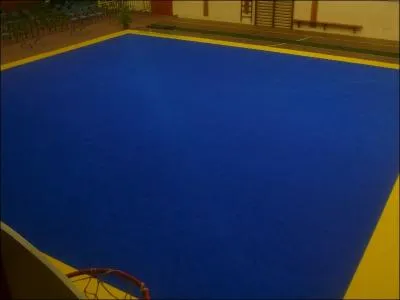 Combien cote environ le tapis de sol ?