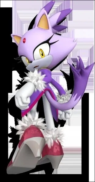 Cette princesse vient d'une dimension parallle  celle de Sonic. Elle est la gardienne des Sol Emeralds et peut contrler le feu. Elle a fait sa premire apparition dans Sonic Rush, sorti en 2005.