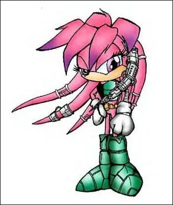 Voici une chidn violette, qui sait parfaitement se servir des armes, et qui est devenue la petite amie de Knuckles.
