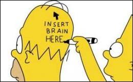 Qu'est-ce qui fait la caractéristique  cérébrale  d'Homer ?
