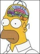 Quelles sont les 3 pensées qui occupent en quasi permanence le cerveau d'Homer ?