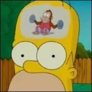 Pourquoi l'intelligence d'Homer n'est-elle pas toujours au rendez-vous ?