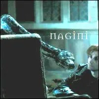 Qu'est ce que Nagini ?