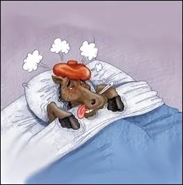 Avoir une fivre de ... ...