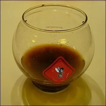 On attrape pas les ... ... avec du vinaigre