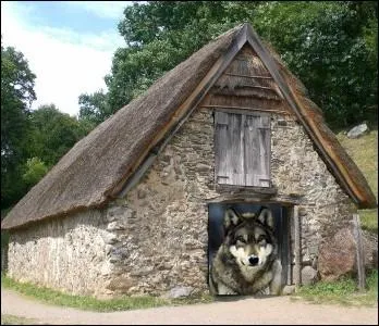 Introduire le ... . . dans la bergerie