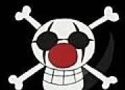 Quiz One Piece - Les drapeaux