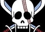 Quiz One Piece - Les drapeaux