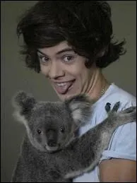 Harry a plusieurs animaux chez lui mais, parmi ces propositions, lequel n'a-t-il pas ?