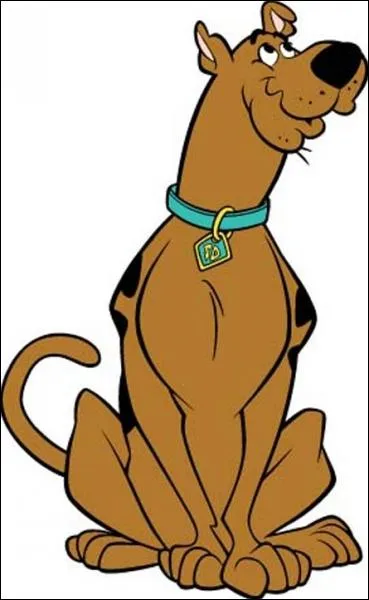 Qu'est-il crit sur le collier de Scooby Doo ?