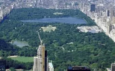 Quiz New york