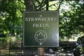 Qu'est-ce qui n'est pas li  John Lennon et qui n'est pas li  New York ?