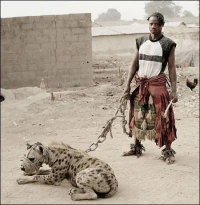 La hyne a une particularit !