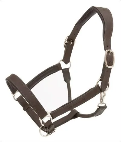 Comment s'appelle cette pice ?