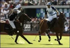 De quel sport s'agit-il ?