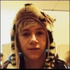 Que fait toujours Niall ?