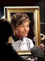 Quels vtements Louis porte-t-il le plus souvent ?