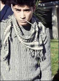 Quelle phrase Zayn dit-il toujours ?