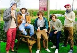 Comment les 1D se sont-ils rencontrs ?