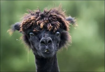 Dernirement votre patron vous a dclar que vous tiez quelqu'un de tenace et persvrant, ne changeant jamais d'ide, sans renoncer, il semble donc que ...