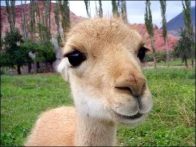 Bien au contraire, vous allez continuer sur la voie que vous vous tes trace, en gardant un bon jugement et ...