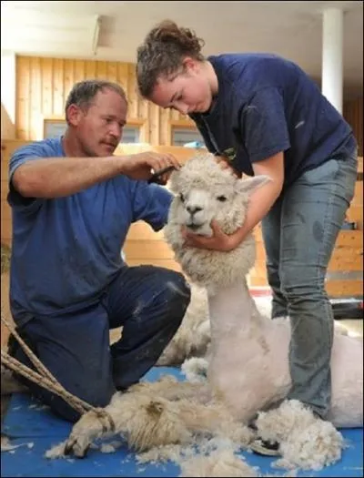 Vous avez termin ? Oui ? Alors vous pouvez chanter ...