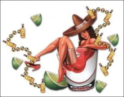 Quelle est la plante utilise pour la fabrication de la  Tequila  , boisson alcoolise produite au Mexique ?