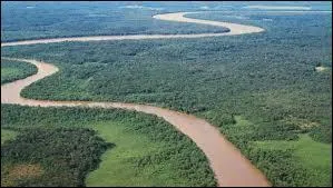 Quel pourcentage du territoire de la Guyane franaise est couvert par la fort tropicale ?