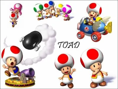 Qui a cr Toad ?