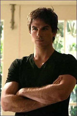 Vampire Diaries : Comment Elena rencontra-elle pour la premiere fois Damon ? (Dont elle s'en souvient --> Saison 1)