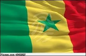 A quel pays appartient ce drapeau ?
