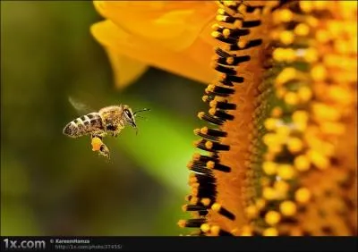 C'est quelqu'un de bassement servile, il emploie pour vous parler un ton ...