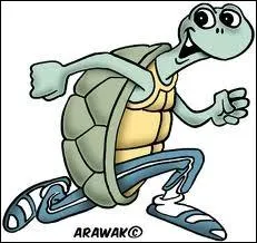 Que fait la tortue qui veut arriver avant le livre ?