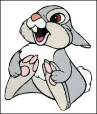 Comment s'appelle-t-il ?