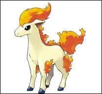 Quel est ce Pokmon ?